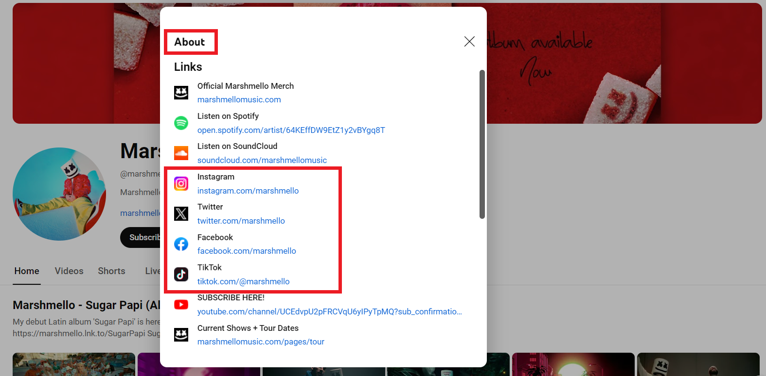 YouTuber socmed accounts
